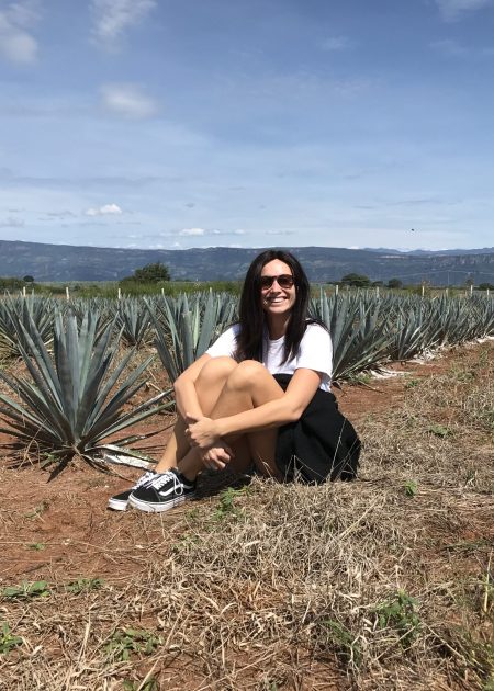 Mexico Tequila agaveveld